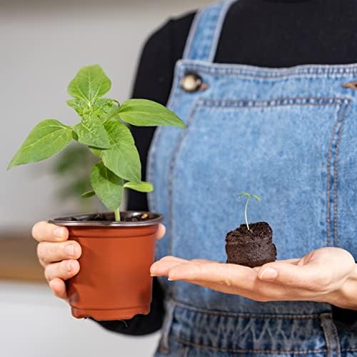Vue 6 de Owngrown Coco Coir Seed