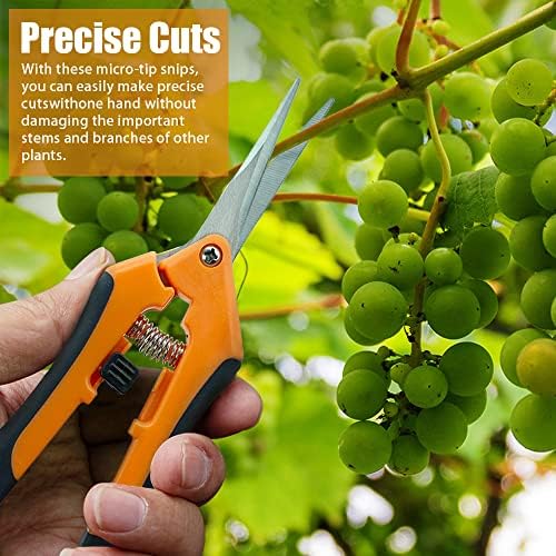 Vue 5 de Ciouyaos Pcs Secateurs Precision