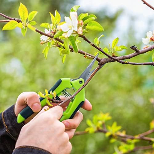 Vue 6 de Ciouyaos Pcs Secateurs Precision