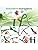 Vue 3 de Forever Speed Systeme Dirrigation