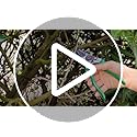 Vue 7 de Gruntek Secateur De Jardin