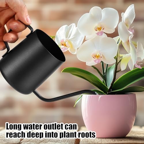 Vue 5 de Plant Watering Can Oz