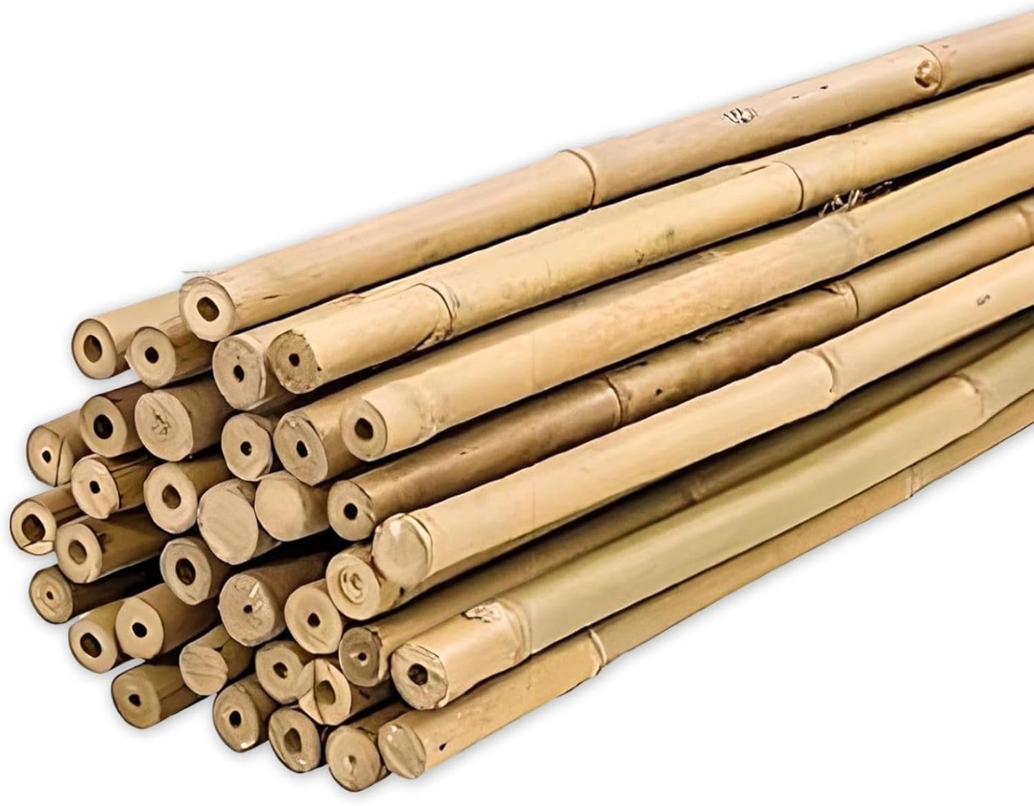 Plantawa Tuteur Bamboo Cm