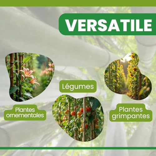 Vue 4 de Plantawa Tuteur Bamboo Cm