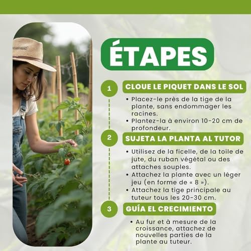 Vue 5 de Plantawa Tuteur Bamboo Cm