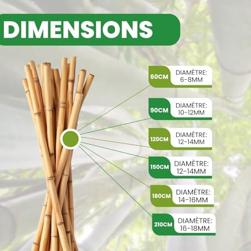 Vue 6 de Plantawa Tuteur Bamboo Cm