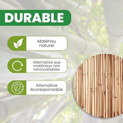 Vue 7 de Plantawa Tuteur Bamboo Cm
