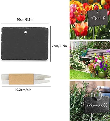 Vue 2 de Dimoxii Pcs Etiquettes Plantes
