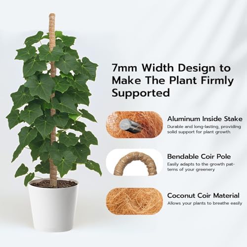 Vue 2 de Mcbazel Tuteur Plante Grimpante