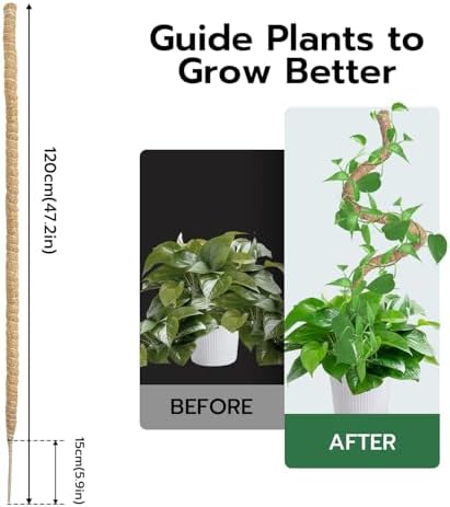 Vue 3 de Mcbazel Tuteur Plante Grimpante