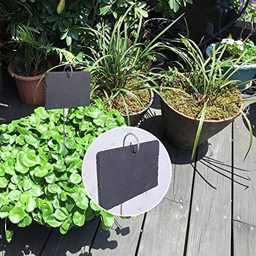 Vue 7 de Dimoxii Pcs Etiquettes Plantes