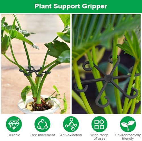 Vue 3 de Adiwo Supports Tiges Plantes