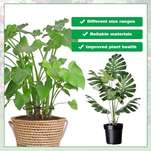 Vue 4 de Adiwo Supports Tiges Plantes