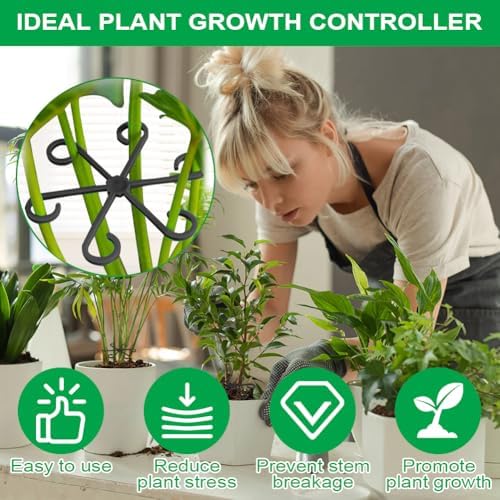 Vue 5 de Adiwo Supports Tiges Plantes