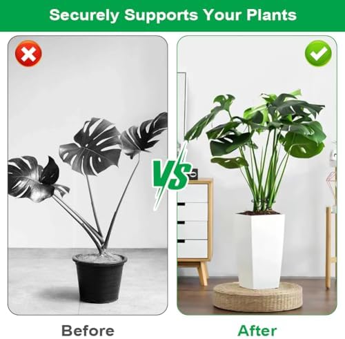 Vue 6 de Adiwo Supports Tiges Plantes