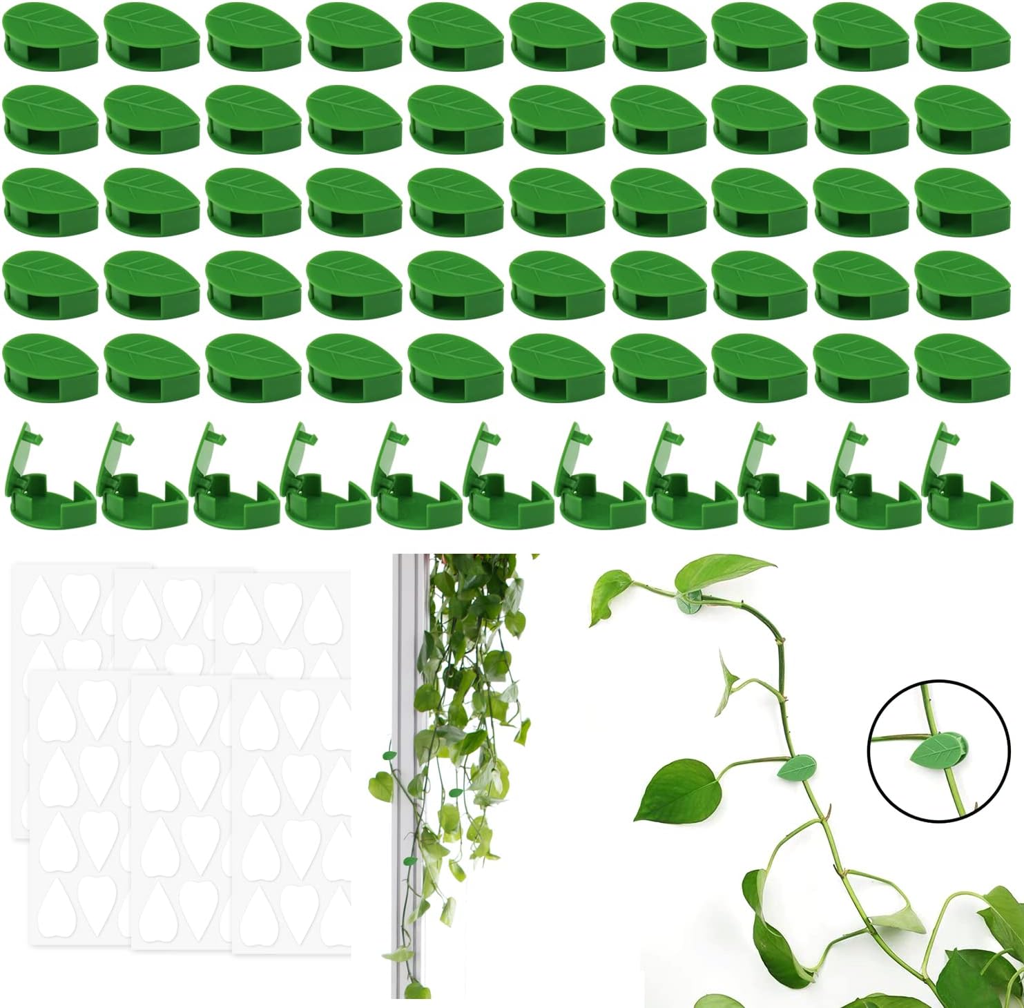 Pieces Clip Plante Grimpante