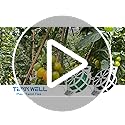 Vue 7 de Tenn Well Fil De