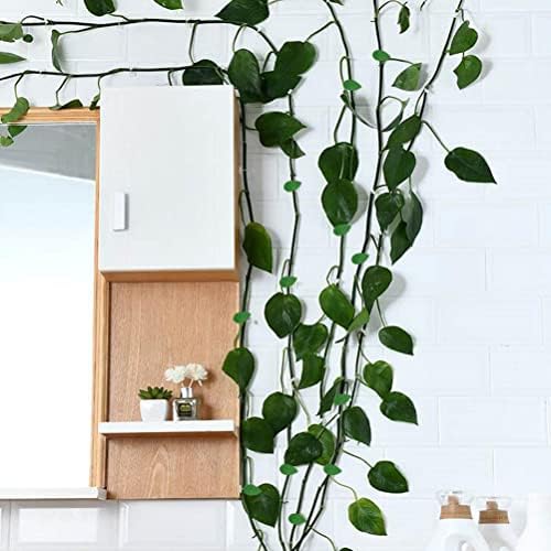 Vue 5 de Pieces Clip Plante Grimpante