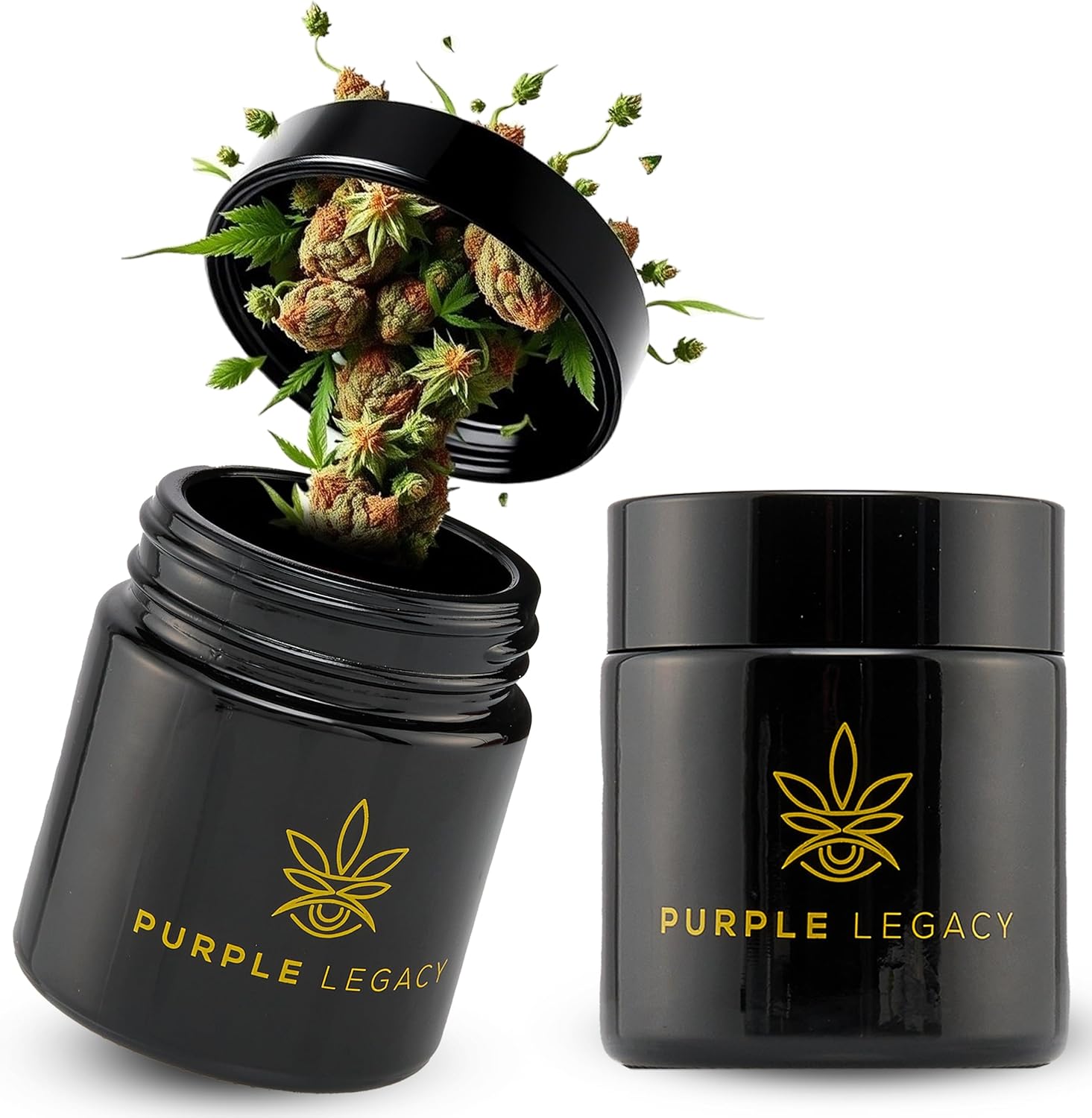 Purple Legacy Lot De