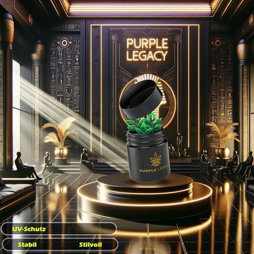 Vue 2 de Purple Legacy Lot De