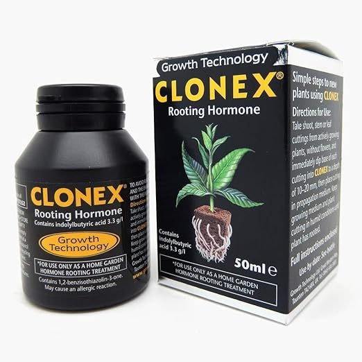 Oasis Clonex Gel Denracinement
