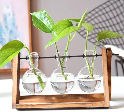 Vue 5 de Puwowye Station De Propagation