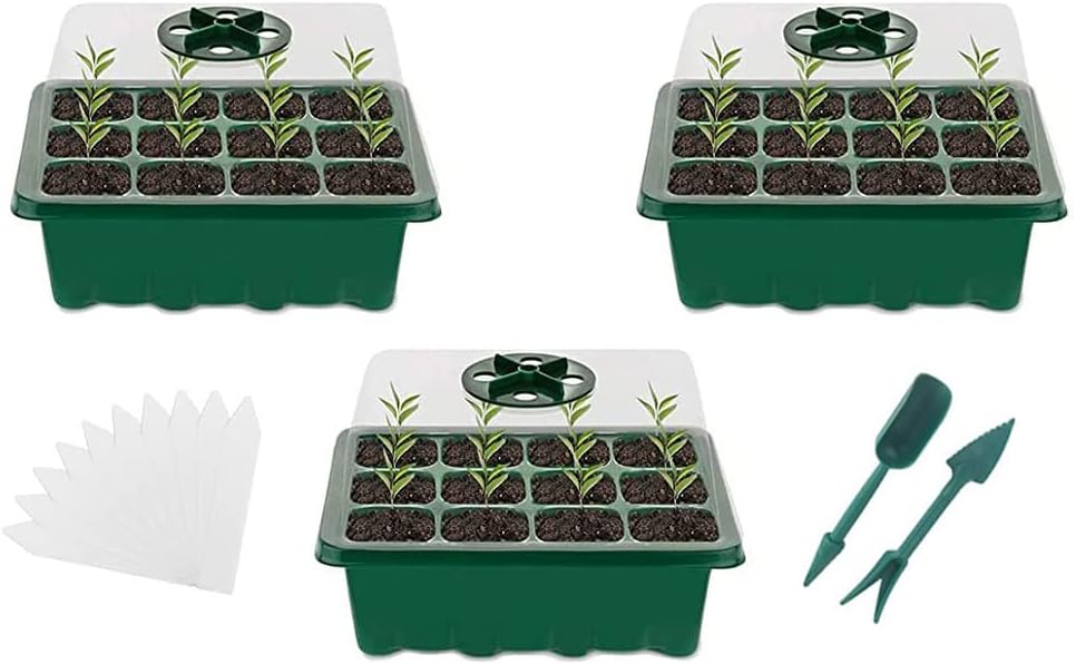 Mini Serre Pour Plantes