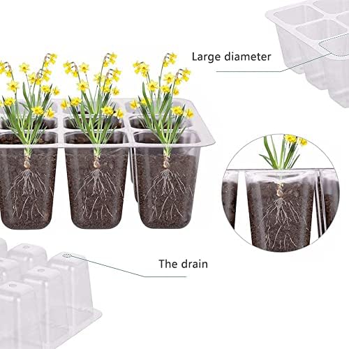 Vue 5 de Mini Serre Pour Plantes