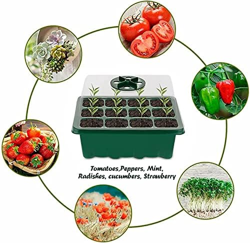 Vue 7 de Mini Serre Pour Plantes