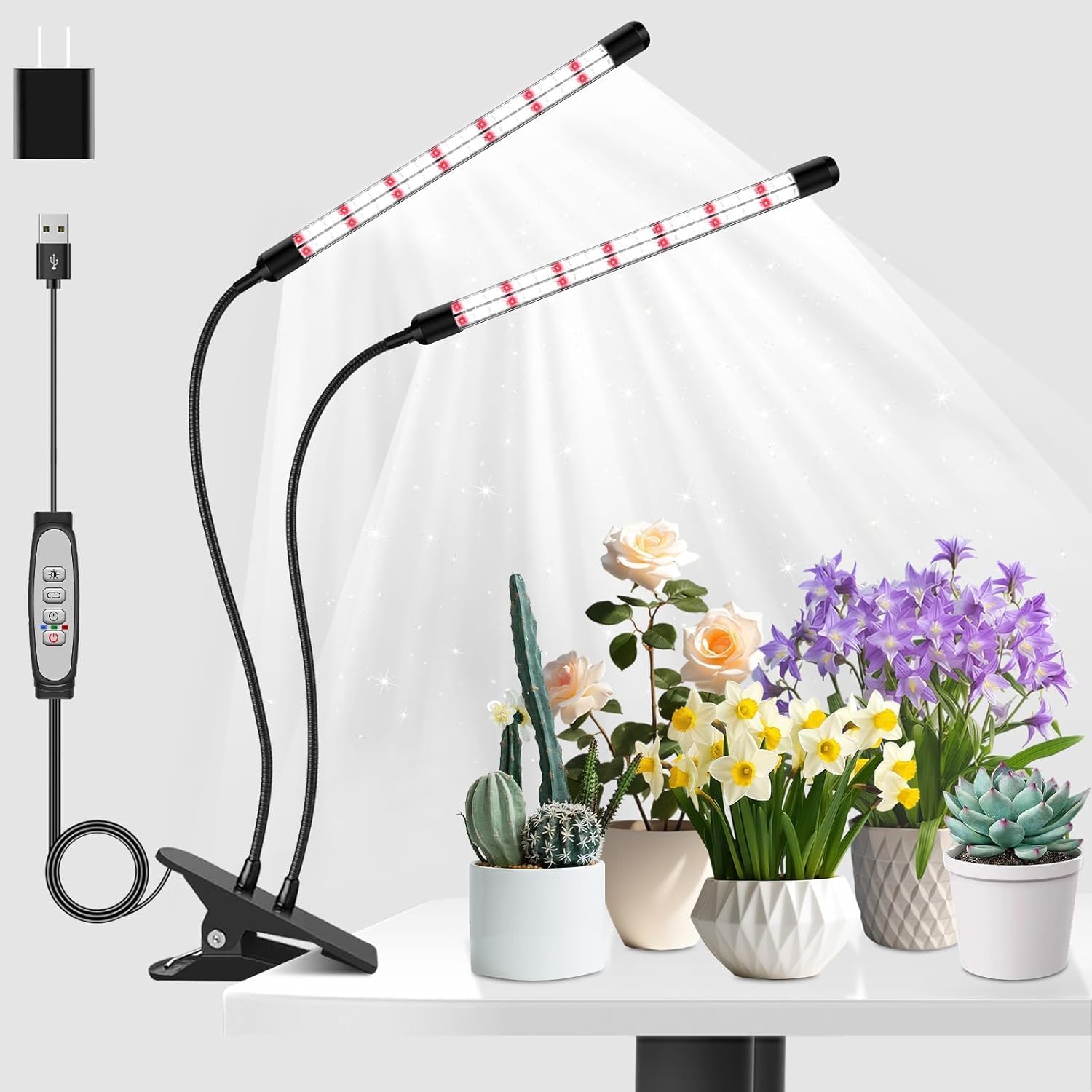 Niello Tetes Lampe Pour