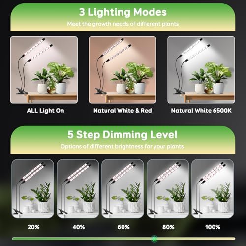 Vue 3 de Niello Tetes Lampe Pour