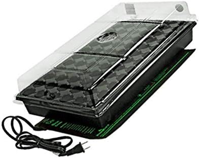 Vue 2 de Jump Start Ck Station