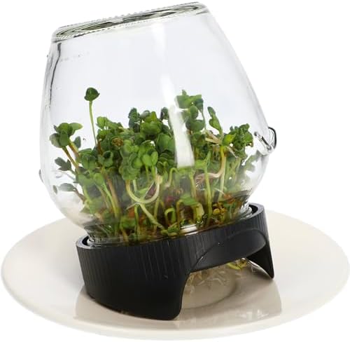 Vue 2 de Browin Germoir En Verre