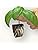 Vue 7 de Root Riot Plateau De
