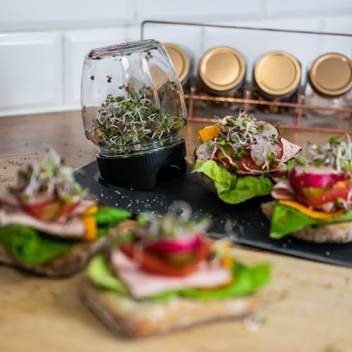Vue 5 de Browin Germoir En Verre