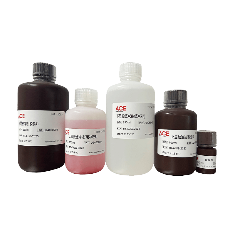 One-step PAGE Colored Gel Rapid Preparation Reagent Kit