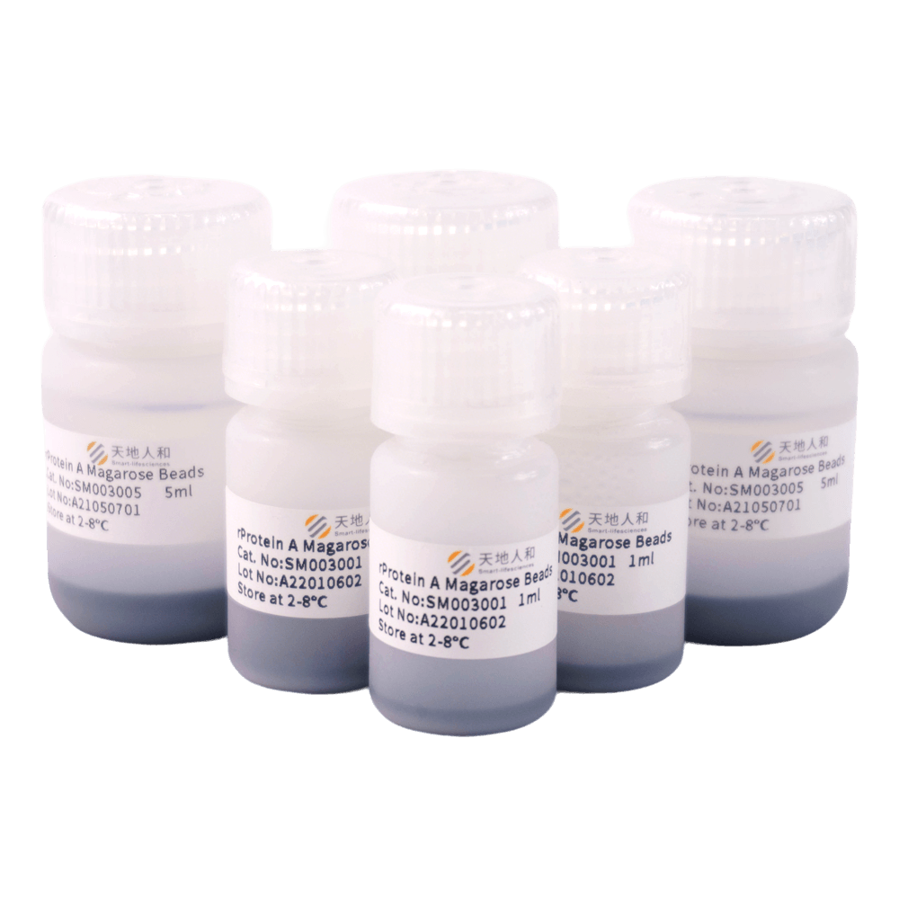 rProtein A Magarose Beads