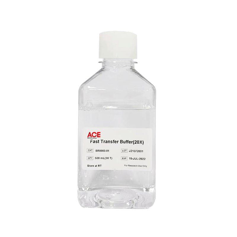 Fast Transfer Buffer 20x