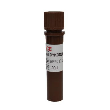 Anti DYKDDDDK Antibody