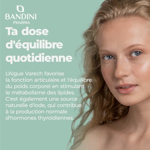 Vue 3 de Bandini Fucus Algue Varech