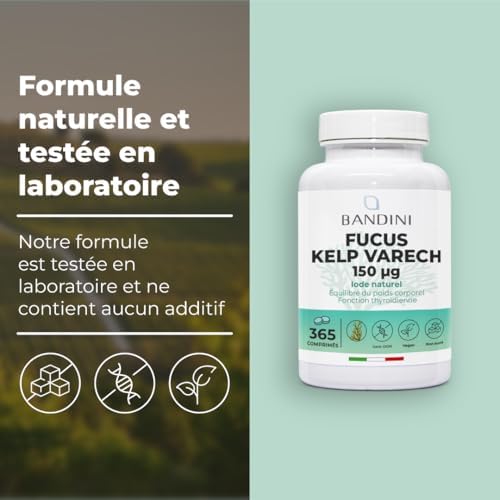 Vue 4 de Bandini Fucus Algue Varech