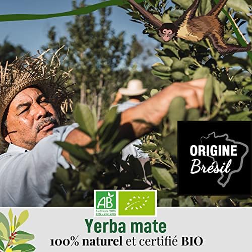 Vue 7 de Origeens Yerba Mate Bio