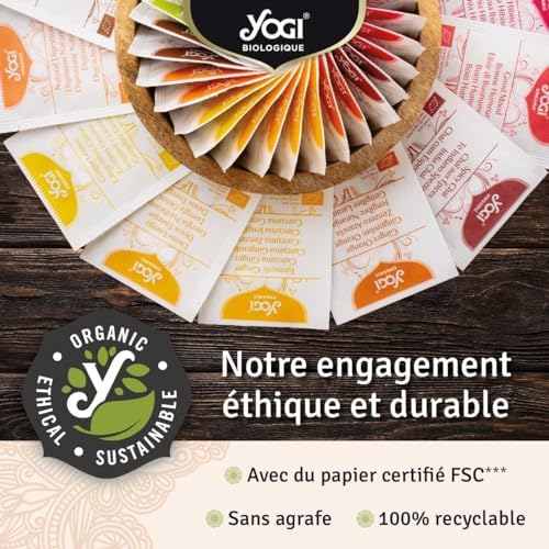 Vue 5 de Yogi Biologique Curcuma Gingembre