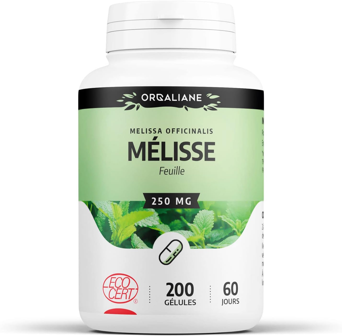Melisse Feuille Biologique Mgjour