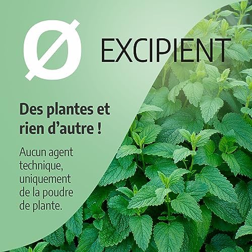 Vue 6 de Melisse Feuille Biologique Mgjour