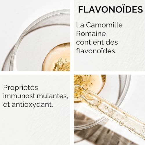 Vue 5 de Herbes Du Monde Tisane