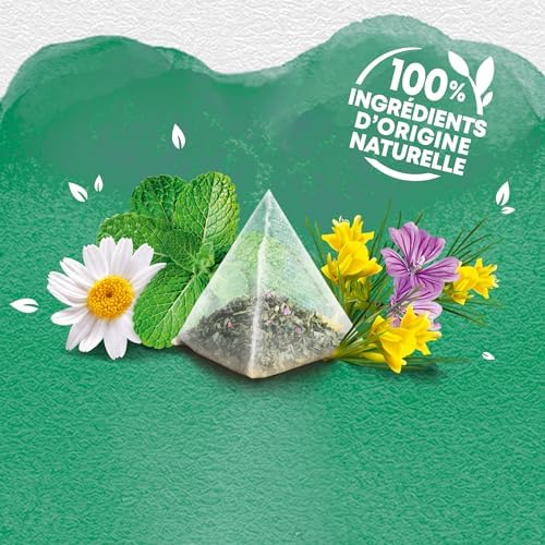 Vue 4 de Elephant Infusion Digestion Legere