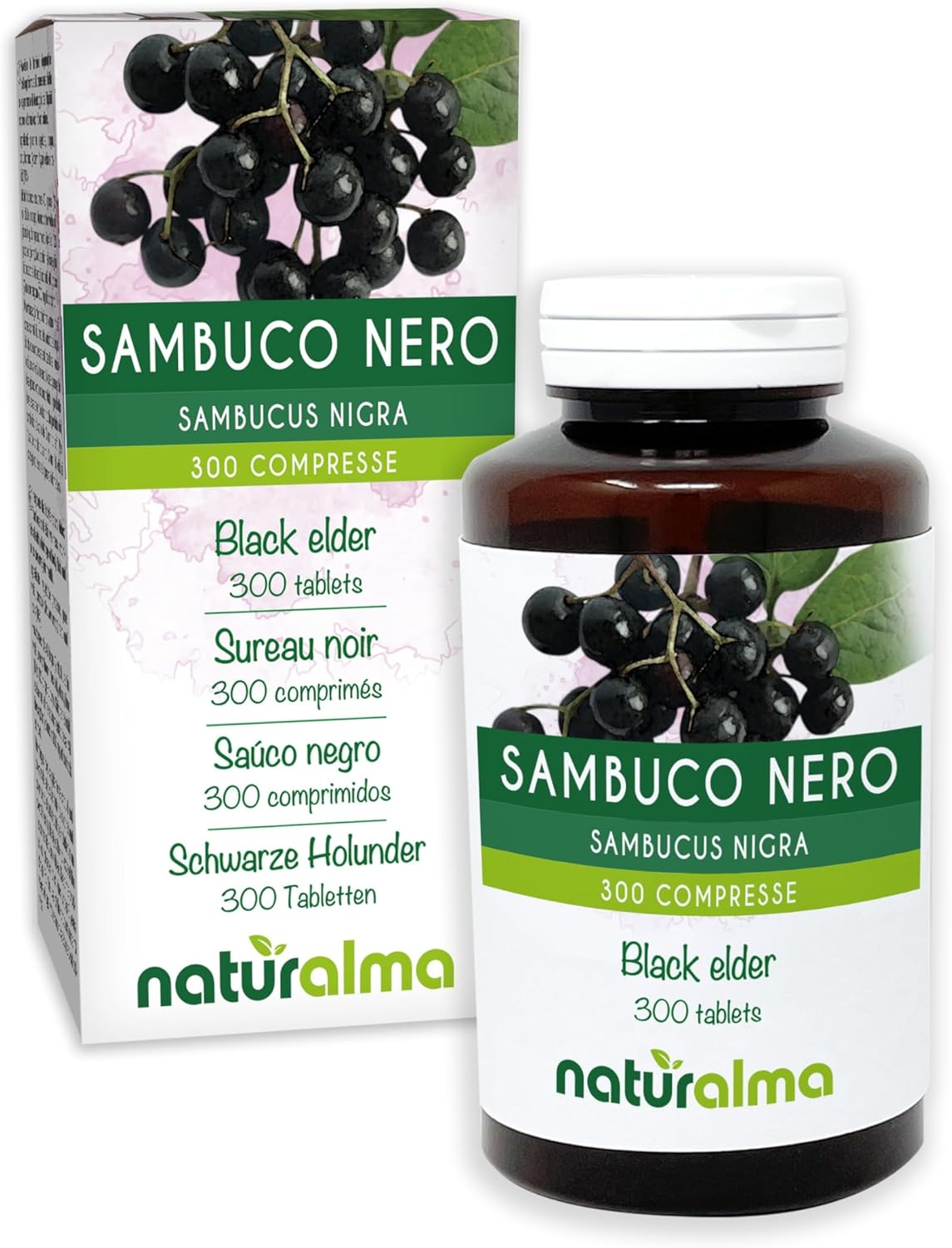Sureau Noir Sambucus Nigra