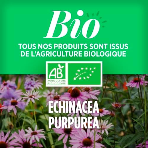 Vue 4 de Echinacea Racine Bio Echinacea