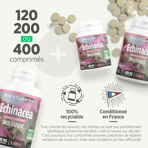 Vue 5 de Echinacea Racine Bio Echinacea